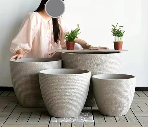 睡蓮鉢 特大」の人気商品一覧 | 安い商品を通販サイトから探す - 価格.com