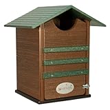 JCs Wildlife Ultimate Poly Screech/Saw-Whet Owl Nesting Box Brazilian Walnut/Green