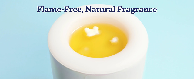 Image of Happy Wax Vanilla Lovers Collection: Natural, Non-Toxic Scented Soy Wax Melts - Total 6oz Variety Pack: Vanilla Bean Latte, Vanilla Sugar, Vanilla Sandalwood