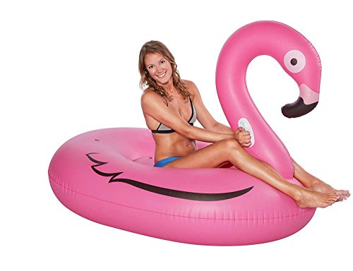 Preisvergleich Produktbild Wehncke Badetier Flamingo