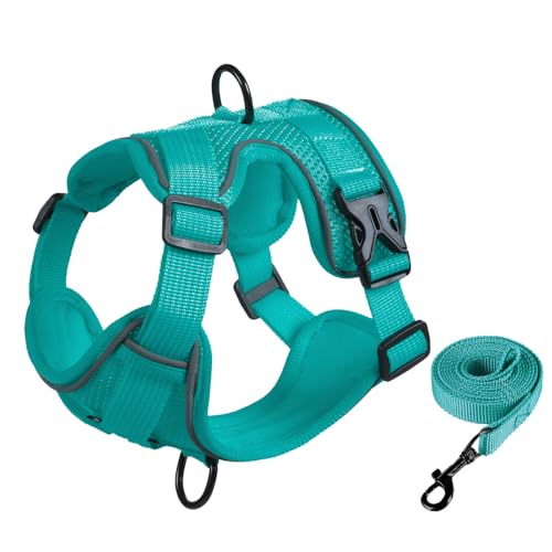 TAIUTYUybgp[hAːƒʋCɗDAEh~@\tA^LɓKxXgX^CA`FXgn[lXB (S,O[)