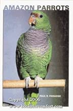 Amazon Parrots