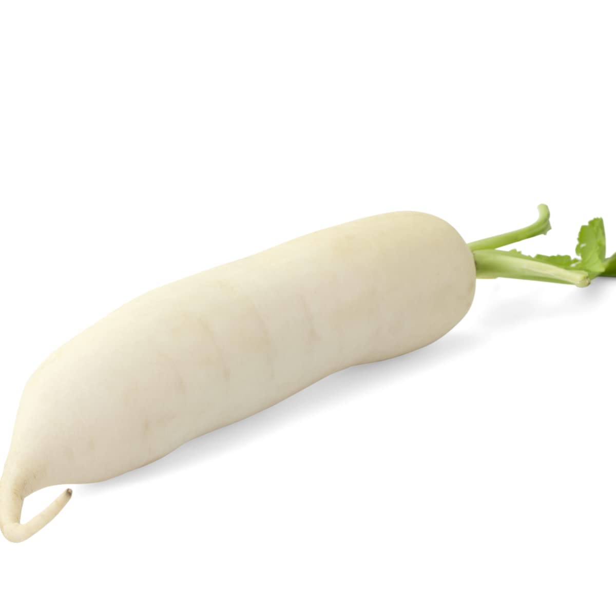 Mooli Accord Radish|Daikon|Fresh Radish ||White Radish|Root Vegetable