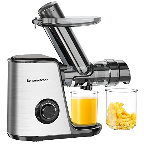 Top 10 Best Slow Speed Masticating Juicer Reviews & Buying Guide