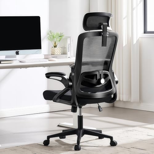 Fizzin Office Chair 400 LBS, High Back Ergonomic Computer Chair w...