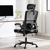 Fizzin Office Chair 400 LBS, High Back Ergonomic Computer Chair with Adjustable Lumbar Support & Headrest, Comfy Mesh Desk Chair for Long Hours (Black)