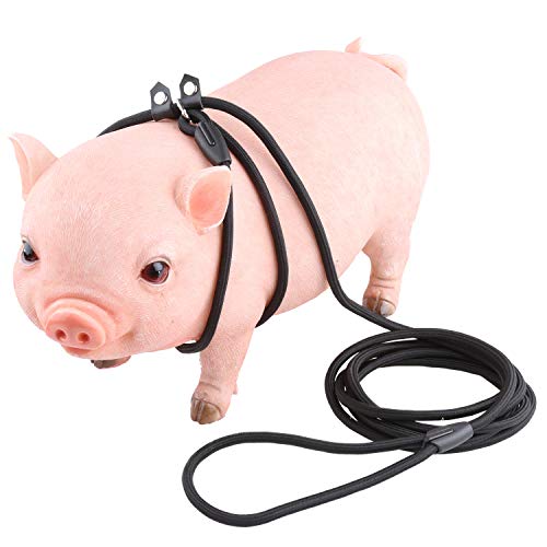 Verstellbares Mini-Schweine-Geschirr für Topf, Bauch, Schweinchen, Frettchen, Kaninchen, Kleintiere, Walking, Training, Joggen, 3 m Cover