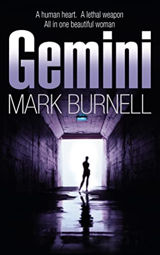Gemini view 2