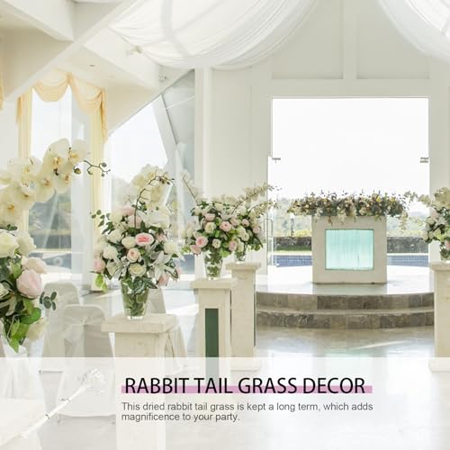 Ramo de flores secas decorativas 50 tallos para decoración miniatura 4
