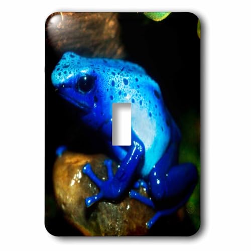 Interrupteur Grenouille Bleue 3dRose lsp_258546_1 pour créer une ambiance jungle en salon