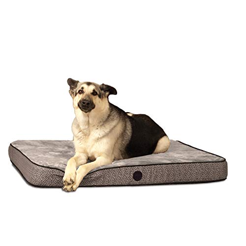 K&H Pet Products Superior Orthopedic Dog Bed Gray Paw...