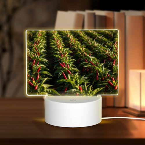 PHAYAH Luz nocturna rectangular con patrón de chile con base LED con cable USB ajustable, 3 colores para adultos, habitación infantil y dormitorio