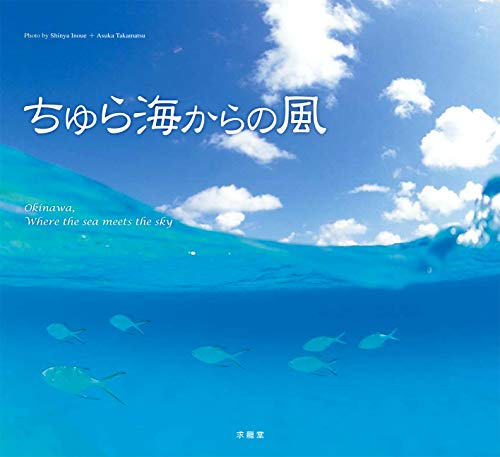 無料電子書籍 アプリ ちゅら海からの風 バイ