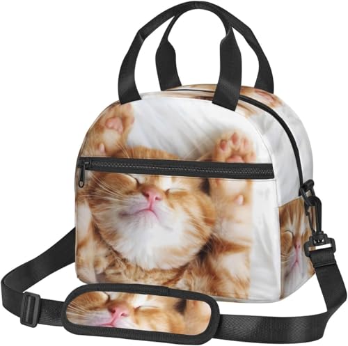 `obO ٓ e ٓ L 킢  L  `{bNX ٓ ۗۉobO |Pbgt V_[Xgbvt fM ٓ Hi[ ٓ ʋ ʊw jp