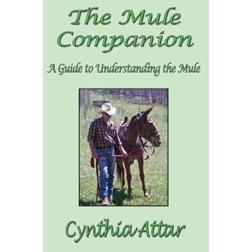 The Mule Companion by Cynthia Attar episode artwork