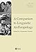 A Companion to Linguistic Anthropology -  Paperback