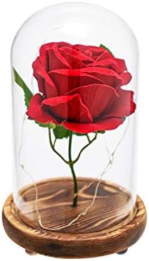 KAOWOD Beauty and The Beast Rose,Enchanted LED Red Rose in Glass Dome on Wooden Base,Best Gift for Her/Mom Holiday Birthday Party Wedding Anniversary Valentine Christmas