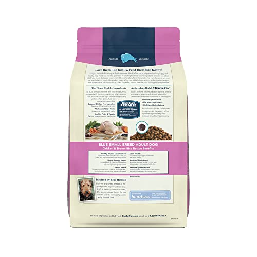 Blue-Buffalo-Life-Protection-Formula-Natural-Adult-Small-Breed-Dry-Dog-Food-Chicken-and-Brown-Rice-5-lb-Trial-Size-Bag