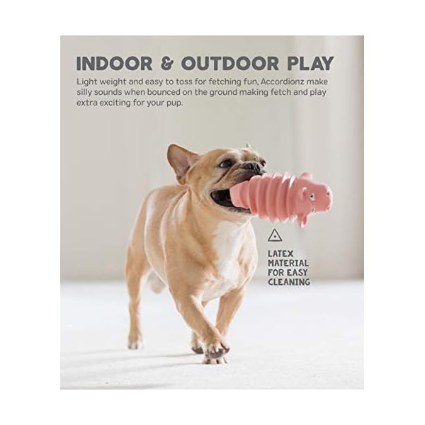 Outward Hound Accordionz Latex Rubber Squeaking Toy – Squeaky and Grunting Dog Toy, Alligator Outward Hound Accordionz Latex Rubber Squeaking Toy – Squeaky and Grunting Dog Toy, Alligator