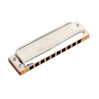 PacuM Harmonica by Instrument Key Accord progressif 10 trous avec peigne en bois Harmonica Instruments de musique Harmonica - Les Beatles, Paul McCartney, John Lennon, RIngo Starr, George Harrison PacuM Harmonica by Instrument Key Accord progressif 10 trous avec peigne en bois Harmonica Instruments de musique Harmonica – Image 2
