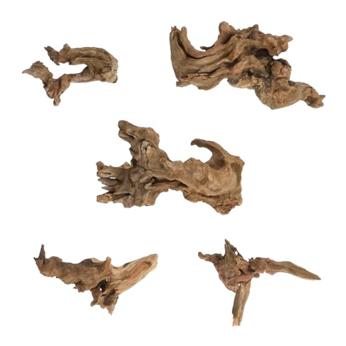 Bois flotté naturel de 5-10 cm pour aquarium et micro paysage - Lot de 5 pièces