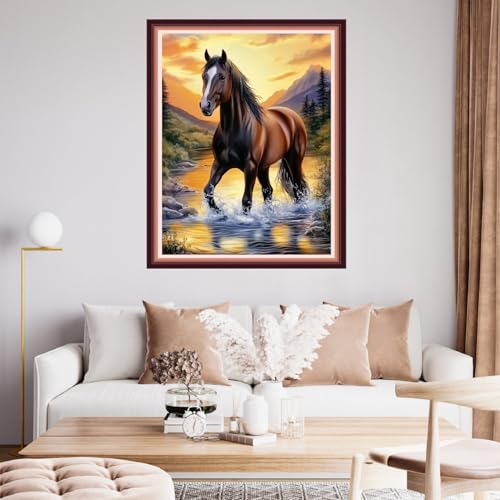 Image of Fanxvivy Stamped Cross Stitch Kits for Beginners Full Range of Cross Stitching Preprinted Embroidery Kits for Adults, 11CT Embroidery Pattern Needlepoint Kits-Sunrise Steed 16x20 inch
