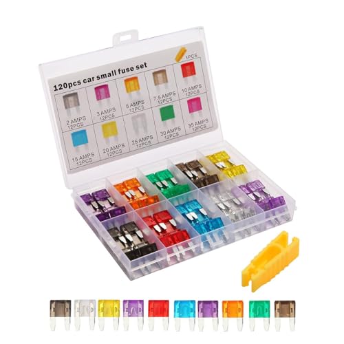 Kit de Fusibles Mini Variados - Assortment de Fusibles de Reemplazo de 120 Piezas,Accesorios De Repuesto Para Piezas Automotrices Para Marina, Autocaravana, Remolque, Camión, SUV Y