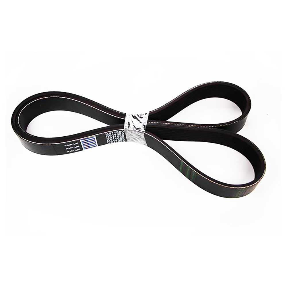 Amazon.com: 3911560 V BELT Suitable For Cummins® 3911560