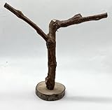 BNOSDM Reptile Grapevine Wood Decoration Lizard Natural Wood Climb Tree Branch Decor Grape Wood Branches Tank Accessories for Leopard Gecko Frog Snake Climbing Terrarium Ornament,9.8in