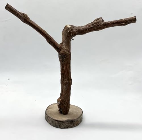 BNOSDM Reptile Grapevine Wood Decoration Lizard Natural Wood Climb Tree Branch Decor Grape Wood Branches Tank Accessories for Leopard Gecko Frog Snake Climbing Terrarium Ornament,9.8in