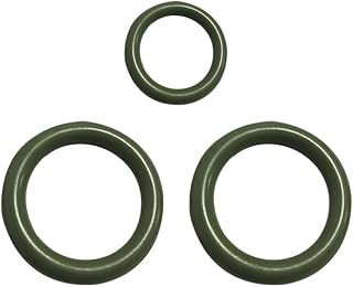 17113552 Fuel Injection Rail Fluorine O-Ring Kit Fuel Rail kit
