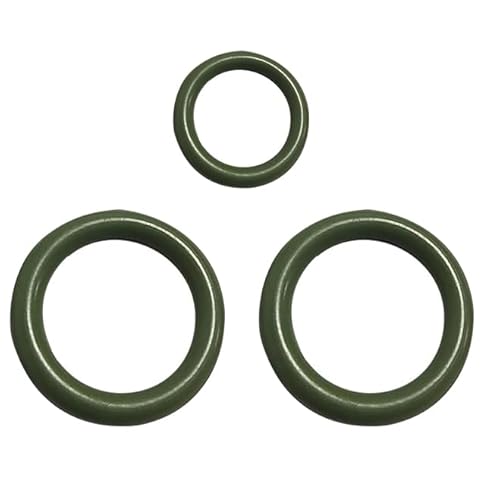 17113552 Fuel Injection Rail Fluorine O-Ring Kit Fuel Rail kit