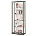 5-Shelf Glass Curio Cabinet Black and Clear