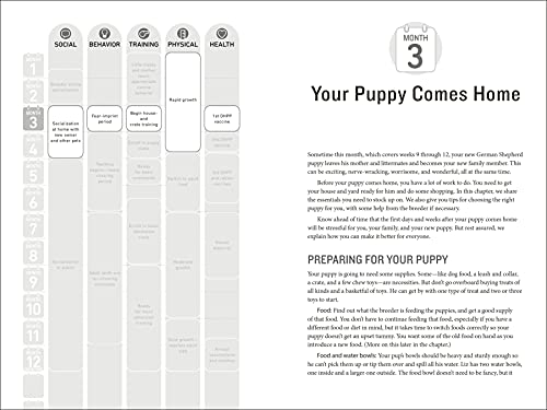 Alliance 9781465451095 Your German Shepherd Puppy Month thumb #2