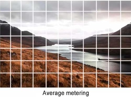 Professional Light Meter for Cameras, Real-time Exposure Tool with 2 Dials for Aperture & Shutter Speed, 45° Metering, Adjustable Cold Shoe Mount, Ideal for Vintage Photography (Black)