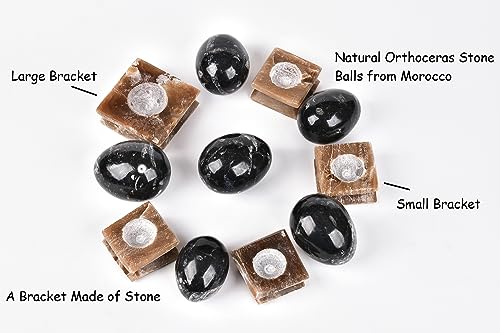 AMOYSTONE Single Healing Crystal Rock Egg Orthoceras Stone Large with Base, Home Decor Collect, Height 3.5-4"