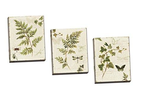 Gango Home Decor Classic Green and Brown Botanical Leaves, Dragonflies and Butterflies Set by Lisa Audit; Three 8x10in Hand-Stretched Canvases