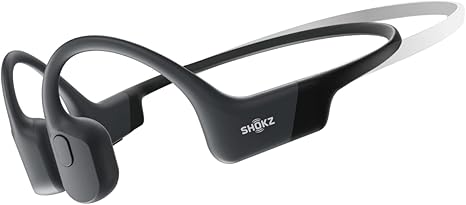41-CoeKIeML._AC_SX466_.jpg