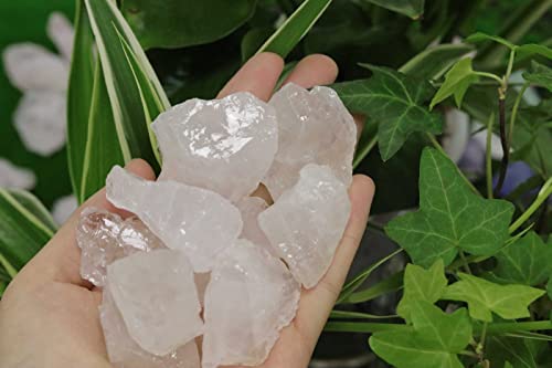 Clear Quartz Bulk Natural Healing Crystals Raw Rough Stones Sets for Cabbing Tumbling Cutting Lapidary Polishing Reiki Crytsal Healing Wire Wrapping Decoration Gemstone 0.45lb Clear Quartz Bulk Natural Healing Crystals Raw Rough Stones Sets for Cabbing Tumbling Cutting Lapidary Polishing Reiki Crytsal Healing Wire Wrapping Decoration Gemstone 0.45lb