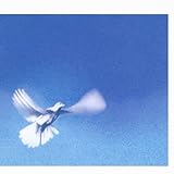 Sony Music Labels Inc.