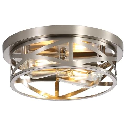 DOXVIEZE 2-Light Brushed Nickel Ceiling Light Cover