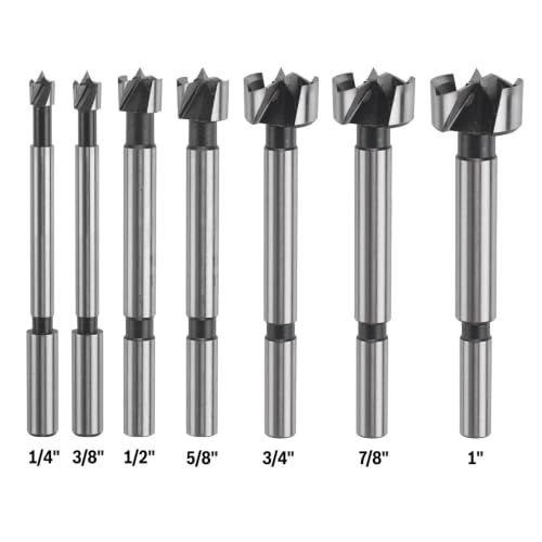 Bosch FB700 Wood Forstner Bit Set