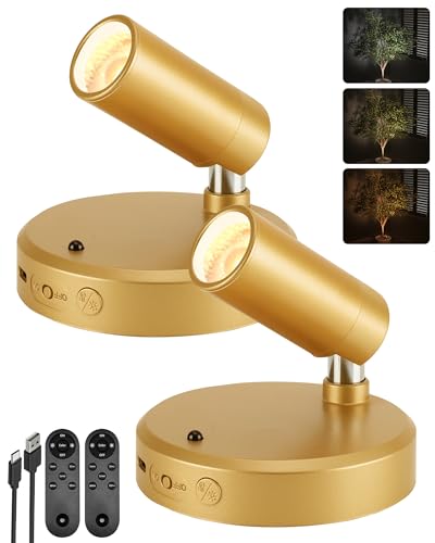 Image of EZVALO LED Spotlight Indoor, 5500mAh Rechargeable Battery-Powered Uplights Indoor, Wireless Mini Art Accent Spot Lights with Remote, for Plants, Display, Painting, Artwork, Portrait (2-Pack-Gold)