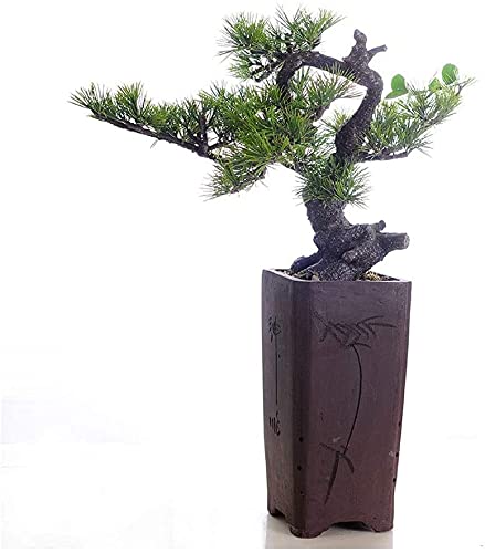 Decoración de plantas falsas de árbol bonsái, planta en maceta, planta artificial de interior, planta bonsái de pino, exhibición de escritorio, decoración de plantas falsas para decoración de jardín y