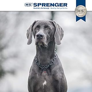 SPRENGER Collana per Cani con Catena Passante 3mm I Collare in Acciaio Inox per Cani di Razza a Pelo Corto e Lungo Fino a 55 kg, 60 cm Nero