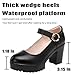 Chunky Heel Platform Mary Jane Shoes for Women's Fashion Round Toe MID Block Heel Anti-Slip Lug Sole Comfortable Pumps with Adjustable Ankle Strap for Work Party Office (Black,10)