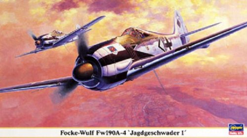 Amazon.com: Hasegawa 1/48 Fw190A-4 JG-1
