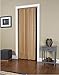 LTL Home Products VS3296K Via Accordion Folding Door, 32