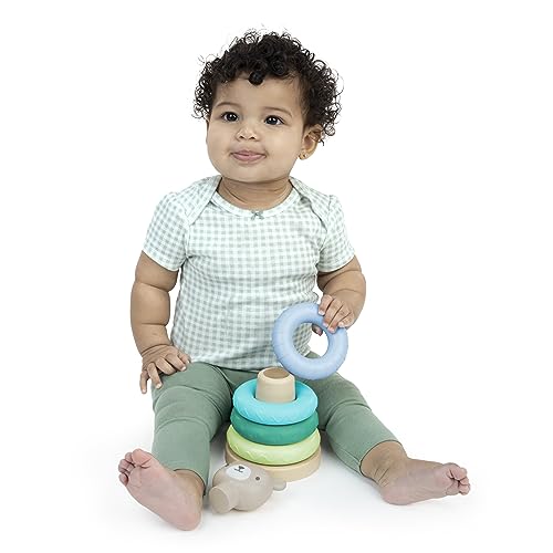 Image of Ingenuity: ity Cutie Stacks, 4 BPA-Free Rings, Faux Wood Stand, Bear Topper, Unisex, for Ages 6 Months and Up - Nate (Pack of 6)