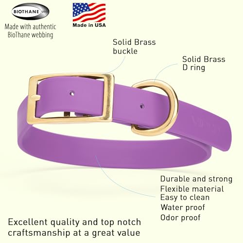 Image of Viper Biothane Heavy Duty Waterproof Dog Collar Strong Coated Nylon Webbing w /Solid Brass Hardware Odor-Proof for Easy Care to Clean High Performance Fits Small Medium or Large Dogs, Amethyst Purple